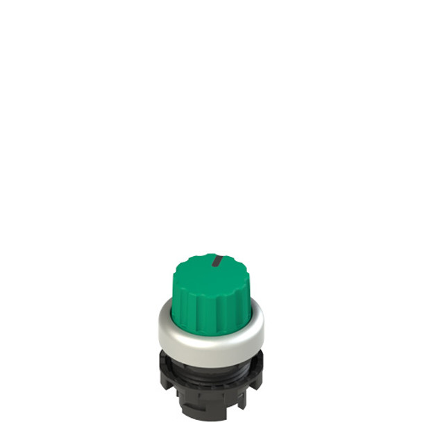 Pizzato E2 1SL42ACD49AB Illuminated knob selector, 2 positions green with marking