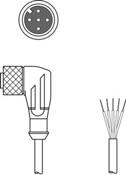 Leuze CB-M12-25000S-5WF Connection cable