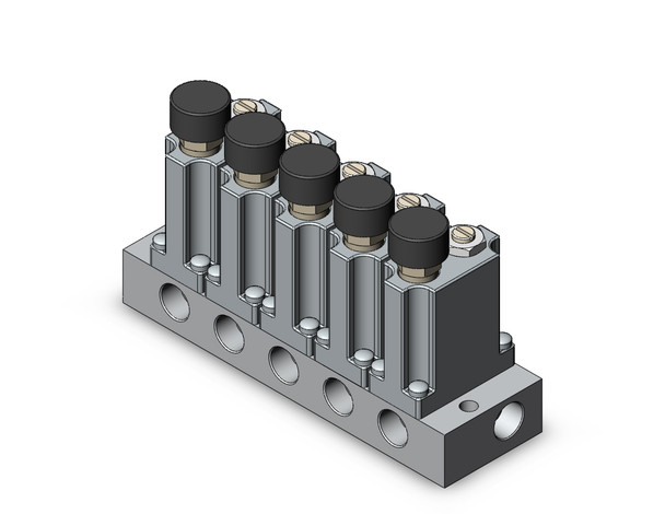 SMC ARM1000-5A1-01G-1 Manifold Regulator