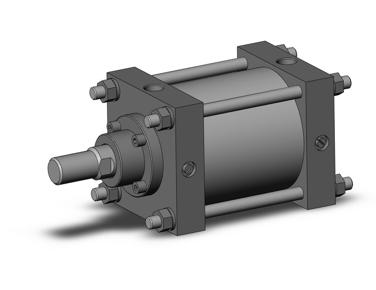 SMC CS1B125-100 Tie Rod Cylinder