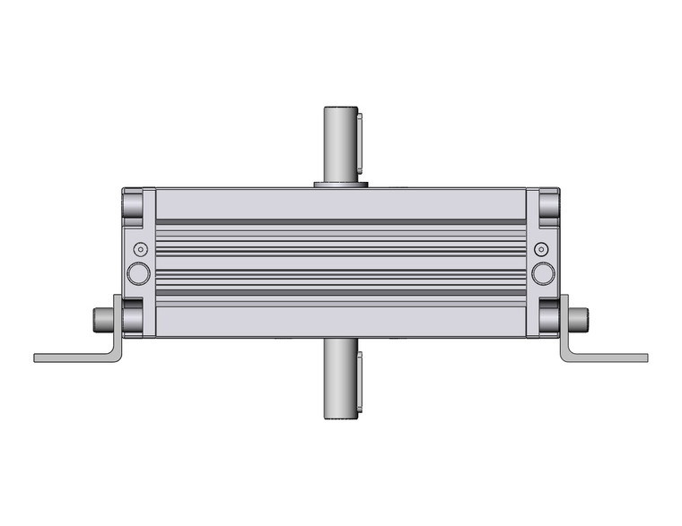 SMC CDRA1LY100TN-190CZ Rotary Actuator