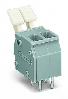 Wago 255-402/333-000 Pack of 100