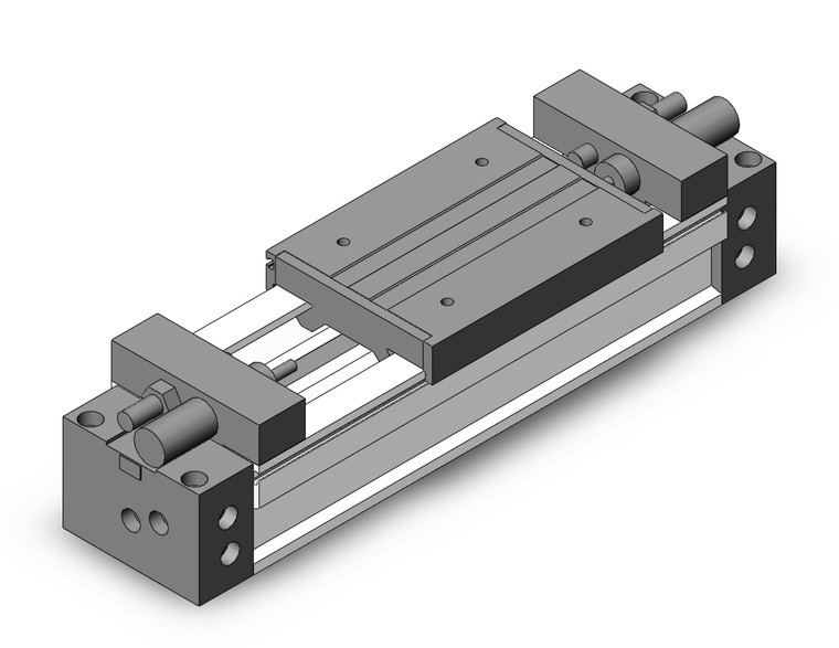 SMC MY1M50TN-100H Slide Bearing Guide Type