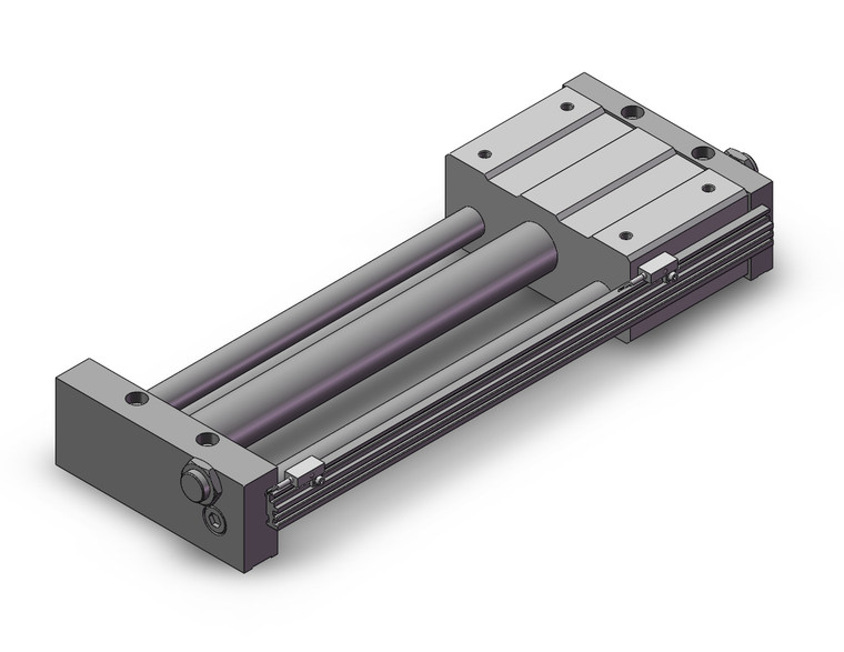 SMC REAL32-300-J79WL Rea, Sine Rodless Cylinder