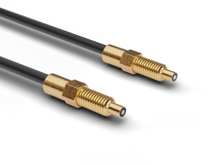 Baumer FSE 100A1001 10258814