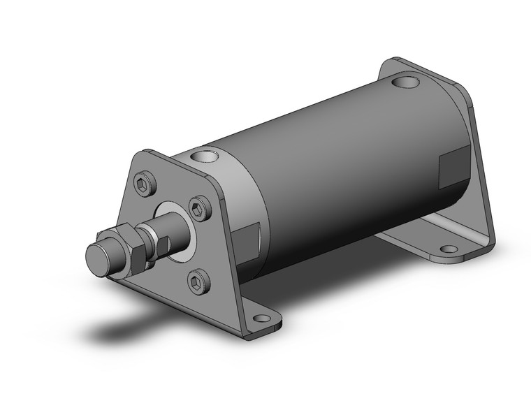 SMC CG1LN80-100Z round body cylinder cg1, air cylinder