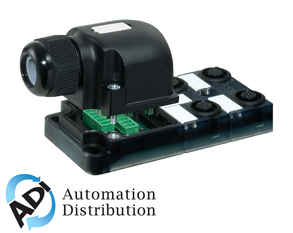 Murrelektronik 8000-84552-0000000 exact12, 4xm12, 5-pole, cap, plug. screw-term, w.o. leds