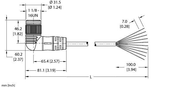 Turck Wsm 106-1M