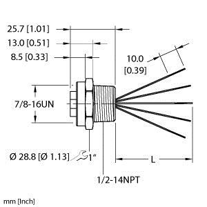 Turck Rkf 55-4M/Npt Single-ended Receptacle, Female Receptacle