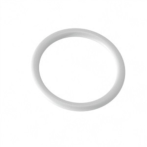 SMC KA00087 O-ring