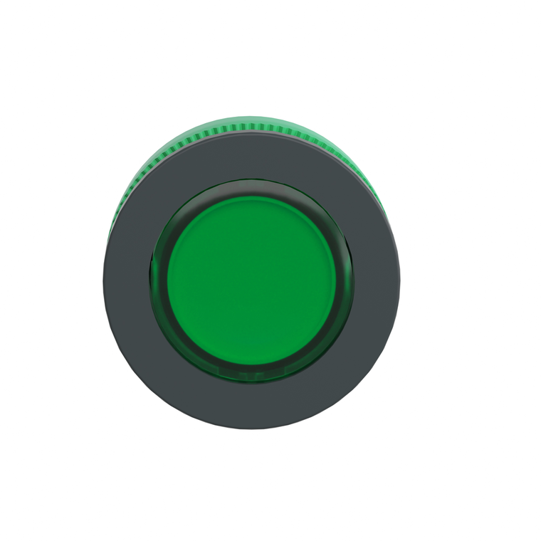 Schneider Electric ZB5FA38 Flush Mounted Green Flush Caps Pushbutto