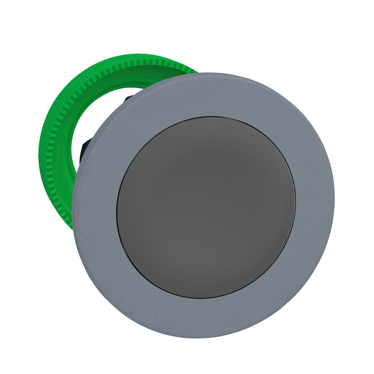 Schneider Electric ZB5FA8C0 Flush Mounted Grey Flush Caps Pb Head