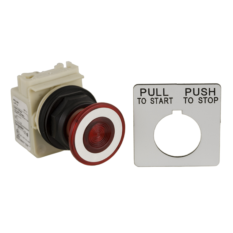 Schneider Electric 9001SKR9P38LRRH13 Pushbutton 120V 30Mm Sk +Options