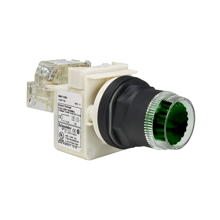 Schneider Electric 9001SK2L38LGGH13 Pushbutton 600Vac 10Amp 30Mm Sk +Options