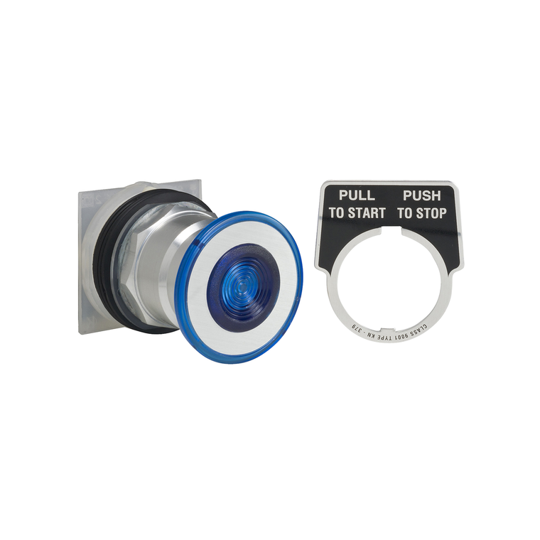 Schneider Electric 9001KR8P35LH25 Push Button 600Vac 10A 30Mm T-K