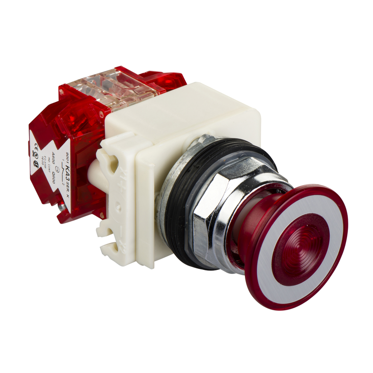 Schneider Electric 9001KR8P38LRRH25 Push Button 600Vac 10A 30Mm T-K
