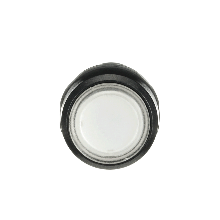 ABB CP1-12C-10 Compact Ill Pb Flush Mom Clear 120V