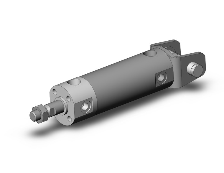 SMC NCGDN25-0100 Round Body Cylinder