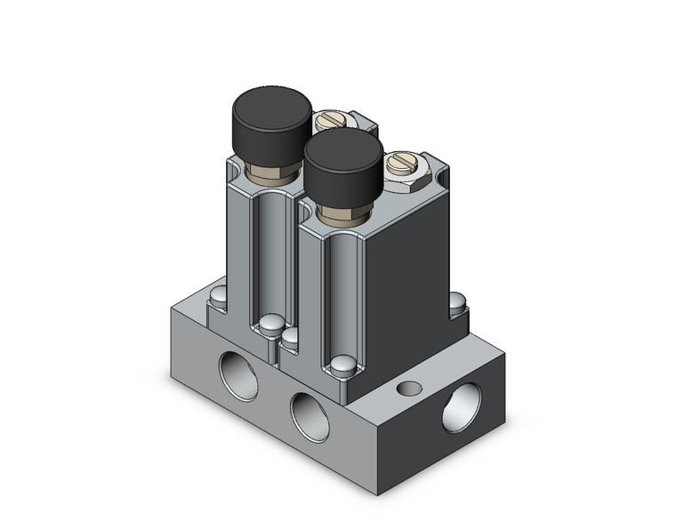 SMC ARM1000-2B1-01G Manifold Regulator