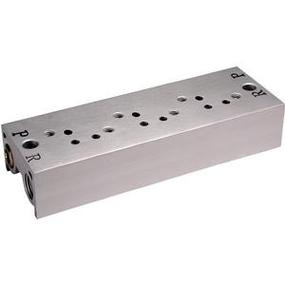 SMC EVV5FS1-20-021-01F Mfld Assy, 2-Sta, Euro