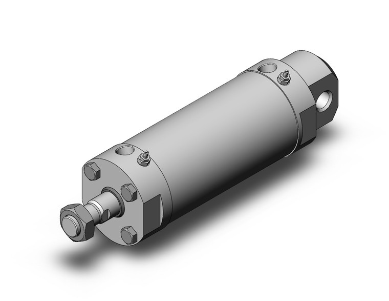 SMC CDG5EA100TNSR-150 Cg5, Stainless Steel Cylinder