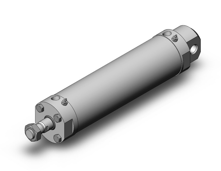 SMC CDG5EA100TNSV-300 Water Resistant Cylinder
