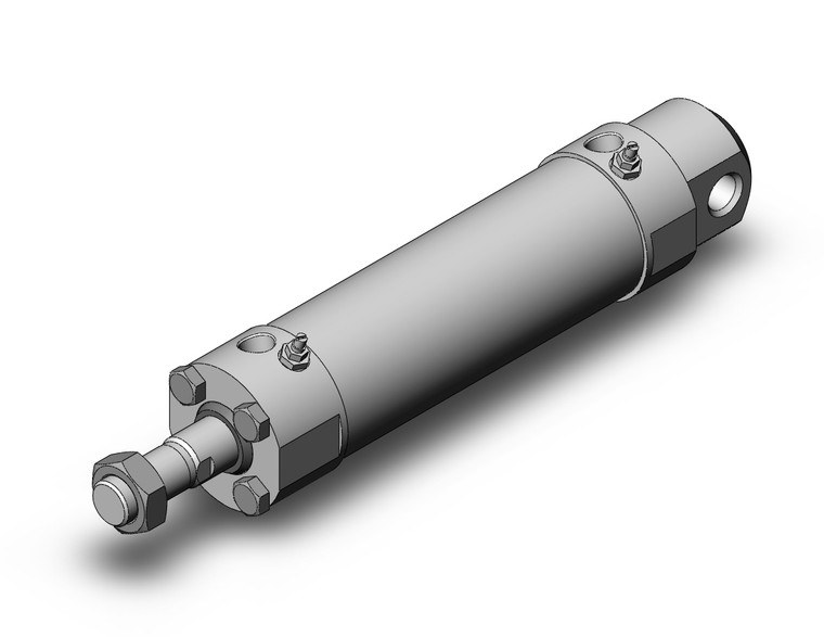 SMC CDG5EA50TFSV-100 Cg5, Stainless Steel Cylinder