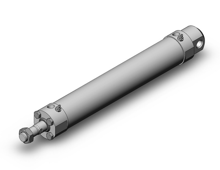 SMC CDG5EA50TNSR-250 Cg5, Stainless Steel Cylinder