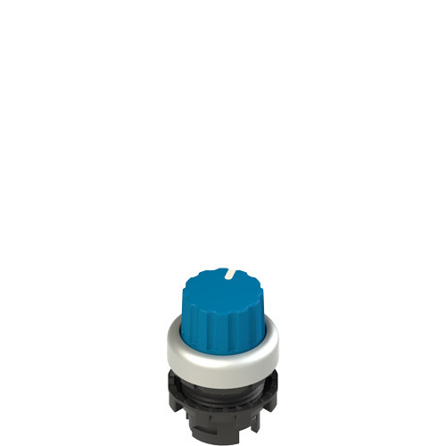 Pizzato E2 1SE42ACA69AB Blue Knob Selector, 2 Positions with Marking - Ideal for Industrial Applications