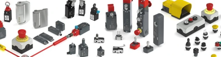 Pizzato FL 251 Position Switch with Roller Lever - Durable Limit Switch for Precise Industrial Applications