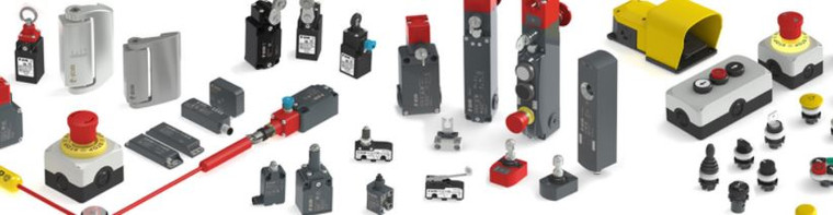 Pizzato NB B110FB-SMK Modular prewired switch with plunger with roller and M12 threaded bearing