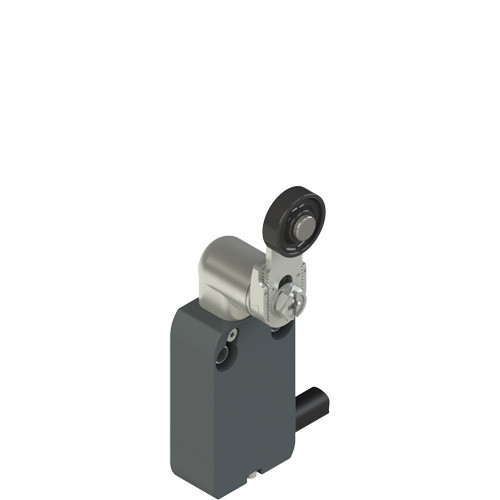 Pizzato NF B222KB-DN2 Modular Prewired Switch with Adjustable Metal Lever Roller for Industrial Applications