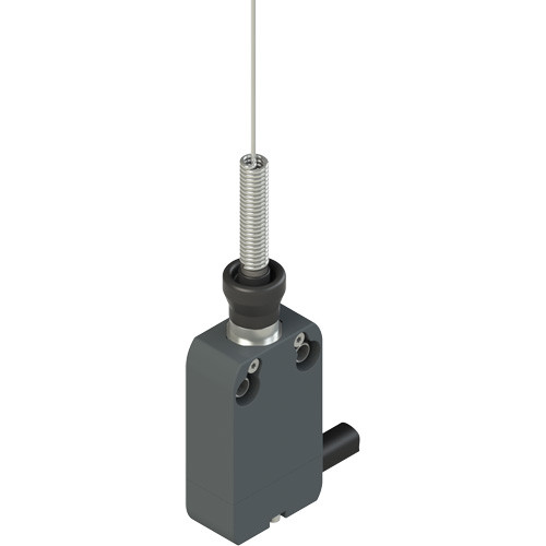 Pizzato NF G220HH-DN2 Modular prewired switch with spring rod with cat's whisker