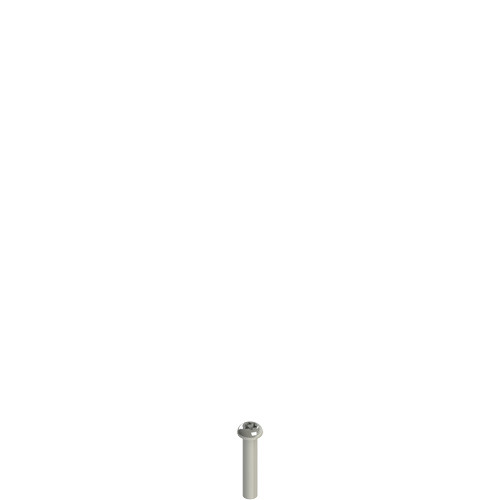 Pizzato VF VAM4X20BX-X Stainless Steel Security Screws - High-Security, Durable, Corrosion-Resistant