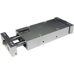 SMC CDPX2N10-100-F79