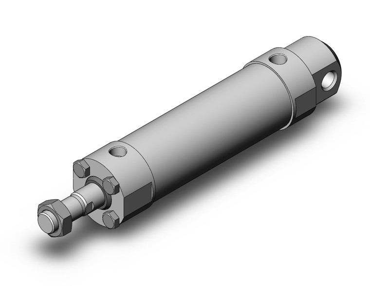 SMC CDG5EN50SV-100 Cg5, Stainless Steel Cylinder