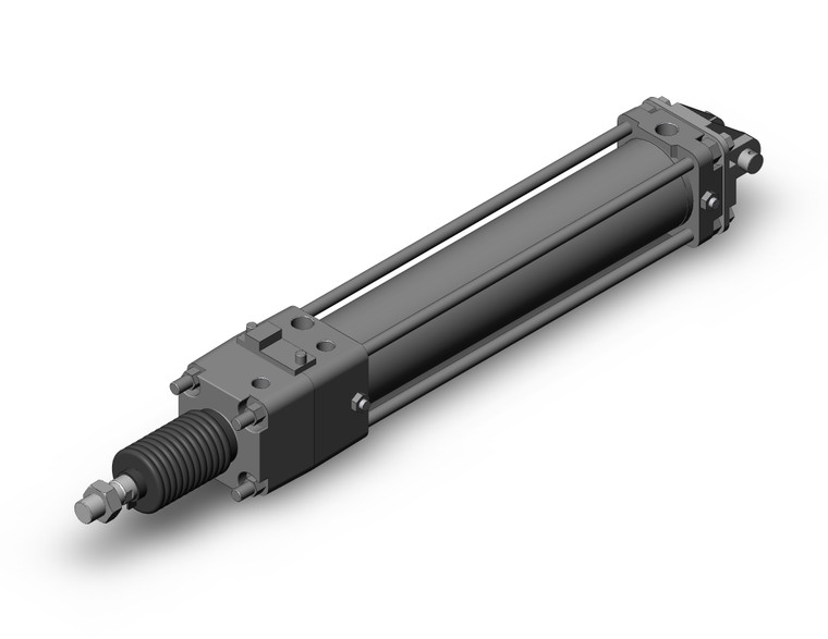 SMC CDLA2D63TN-300JN-E Fine Lock Cylinder