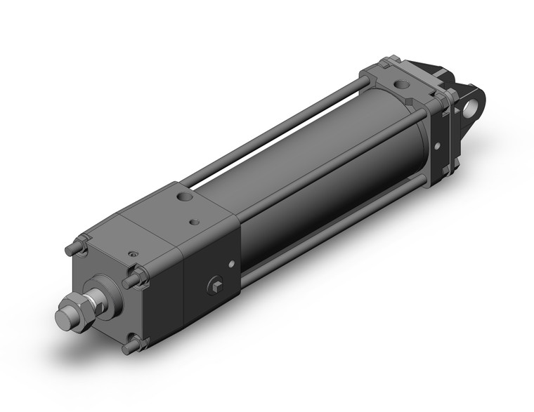 SMC CDNA2D100TN-250-D Power Lock Cylinder