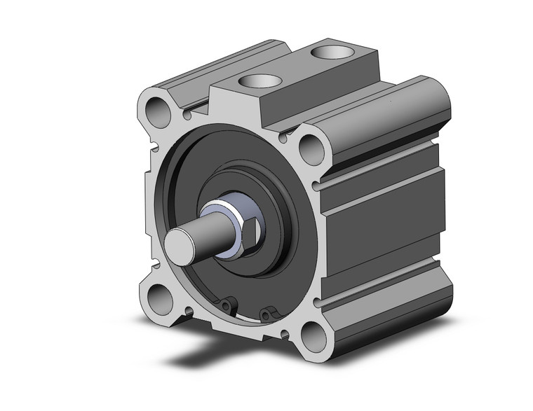 SMC NCDQ2A80-20DCMZ-XC6 Compact Cylinder, Ncq2-Z