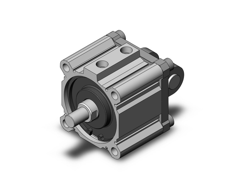 SMC NCDQ2D100-20DCMZ Compact Cylinder, Ncq2-Z