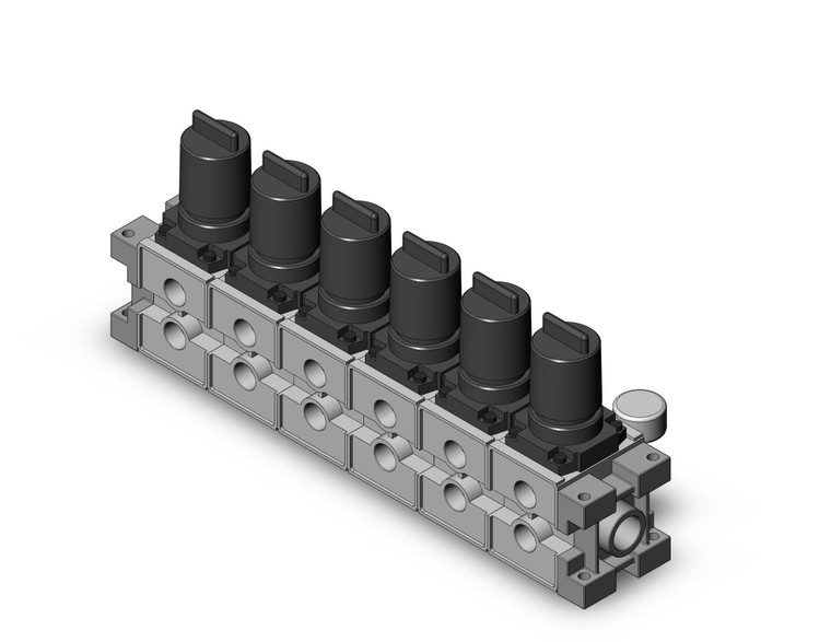 SMC ARM3000-06A-N03G2 Regulator, Manifold