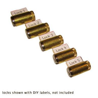 CMOE 101 Progressive Training Lock Set