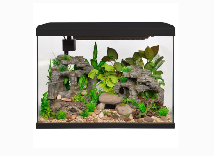 Aqua One LifeStyle Classic Complete Glass Aquarium Auburn Aquarium