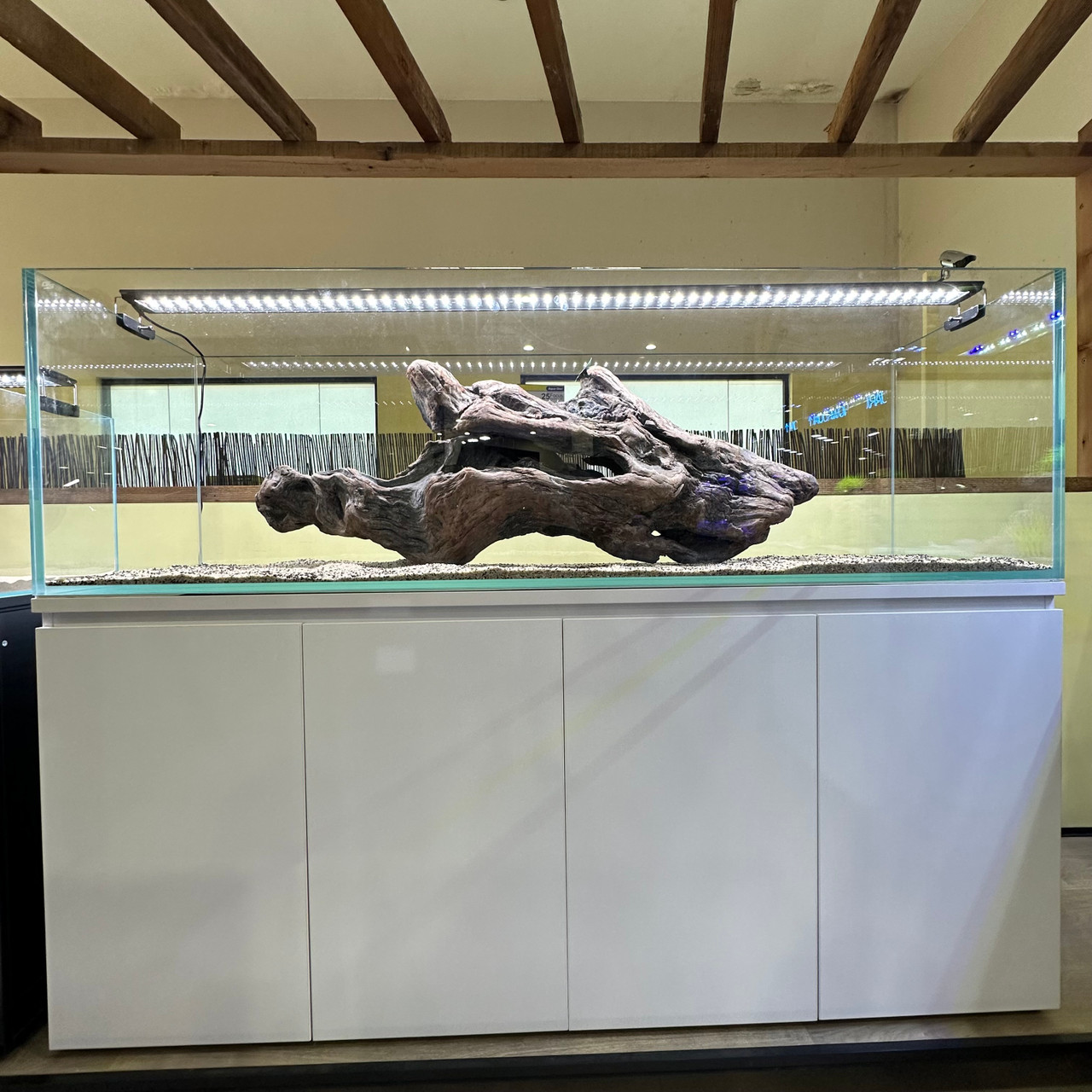 Dymax GS Series Auburn Aquarium and Terrarium