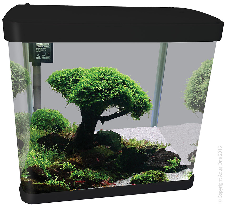 Aqua One LifeStyle 29 Black Auburn Aquarium and Terrarium