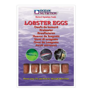 Ocean Nutrition Lobster Eggs Frozen Food 100g
