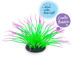 Kazoo Bubbling Silicone Sea Anemone Green Kazoo Bubbling Silicone Sea Anemone Green