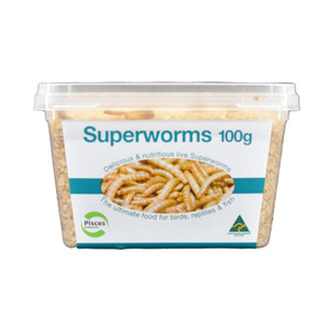 Pisces Superworms 100g Pisces Superworms 100g