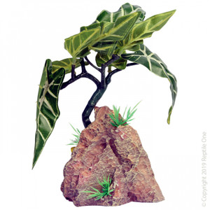 Reptile One Alocasia with Resin Base Reptile One Alocasia with Resin Base