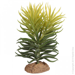 Reptile One Pencil Succulent with Resin Base Reptile One Pencil Succulent with Resin Base